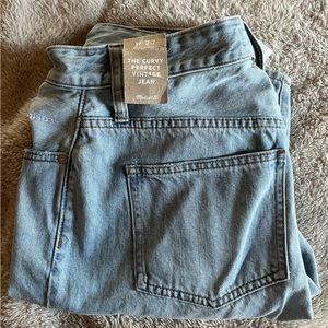 🌟NWT Madewell Curvy Perfect Vintage Jeans